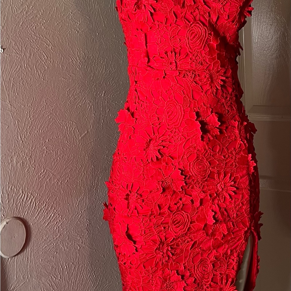 Lulu's Fiery Red 3D Floral Lace Mini Dress